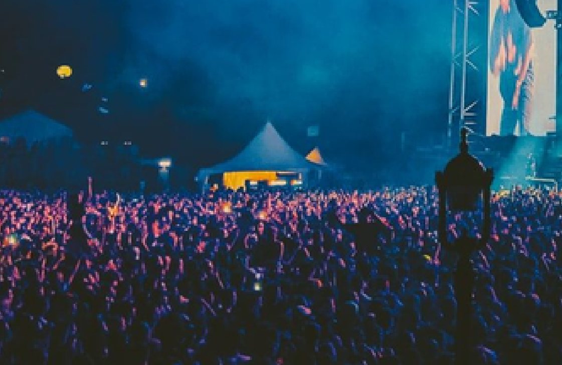 Badshah Gigs